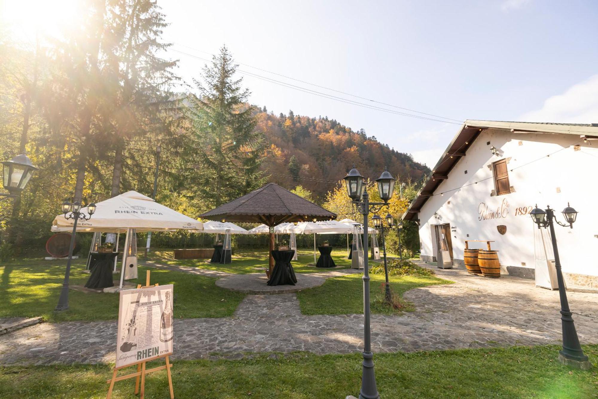 Affittacamere Pensiunea Rhein Azuga