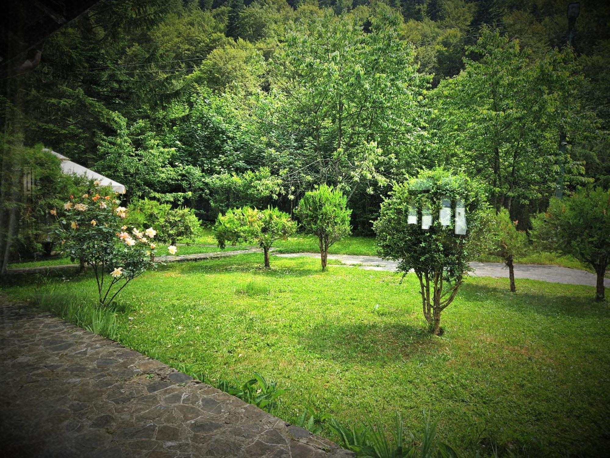 Pensiunea Rhein Affittacamere 3*