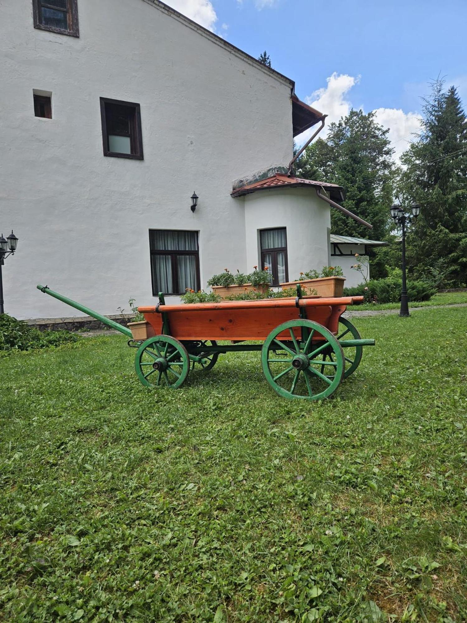 Affittacamere Pensiunea Rhein 3*
