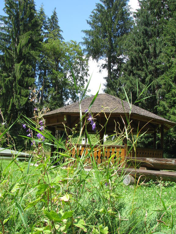 Affittacamere Pensiunea Rhein