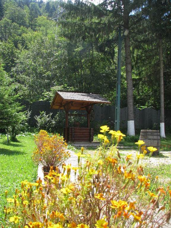 Affittacamere Pensiunea Rhein 3*