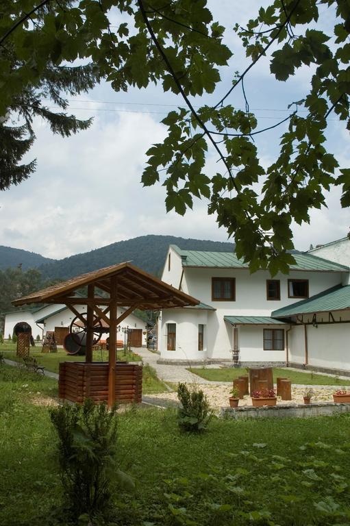 Affittacamere Pensiunea Rhein 3*